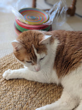 Lade das Bild in den Galerie-Viewer, Funky Teller aus Papier