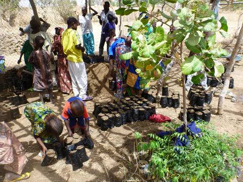 789 Bäume in Afrika gepflanzt dank Euren Käufen in 2022